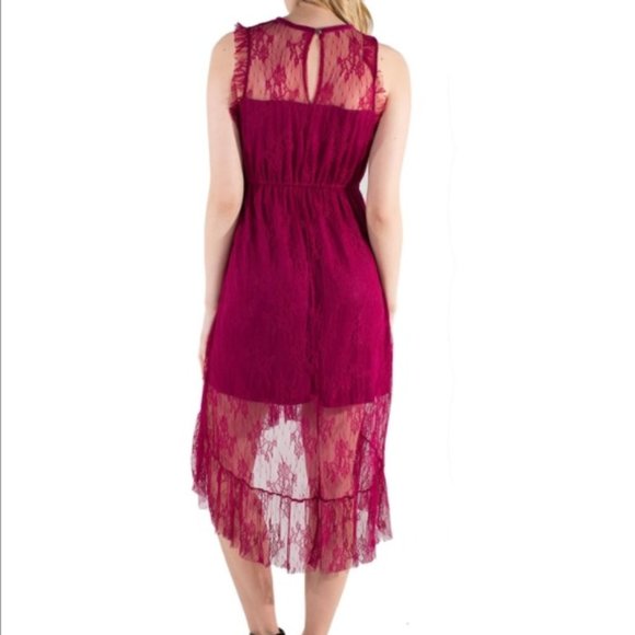 Women's Eyeshadow Sheer Lace Dress with Lining - Picture 4 of 5